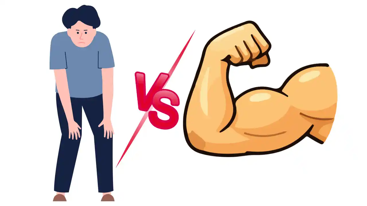 <p class="ql-align-right" dir="rtl">جسم موٹا اور طاقتور بنانے کا مجرب یونانی علاج <strong>ہربل میڈیسن</strong></p><p>Weight Gain & Body Strength Herbal Remedy — TheBaseHerbs.com</p>